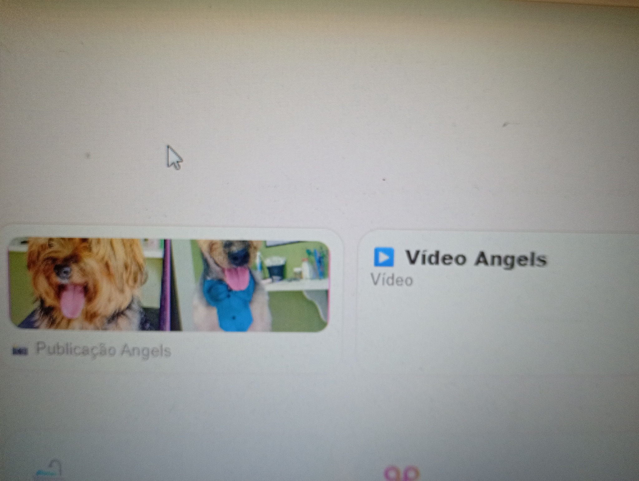 Galeria Angels